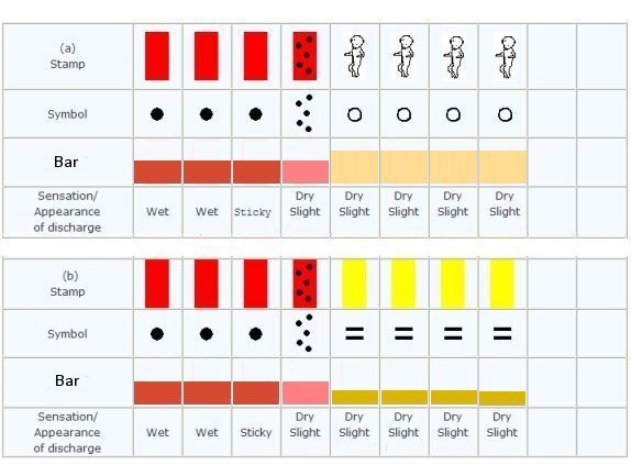 Billings Method Chart Example