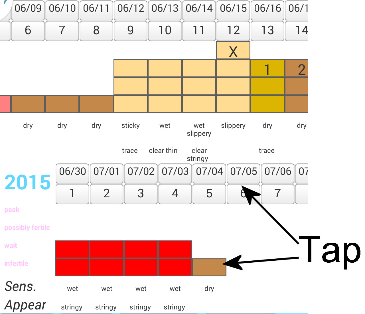 Billings Method Chart Example